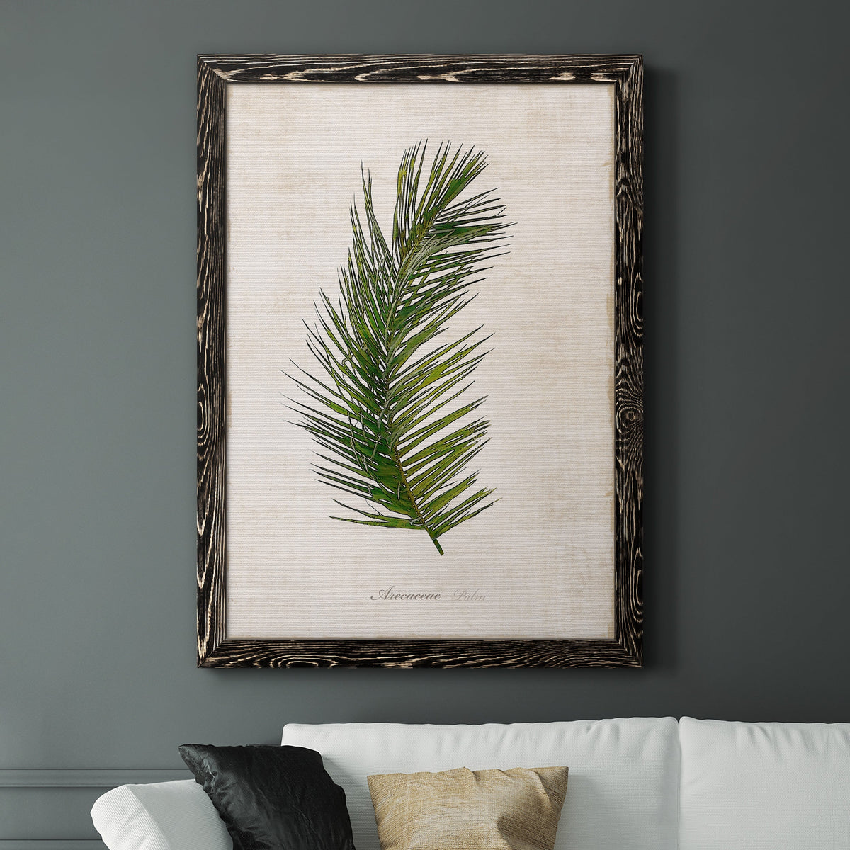 Palm Botanical II - Barnwood Framed Canvas Print