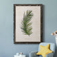 Palm Botanical II - Barnwood Framed Canvas Print