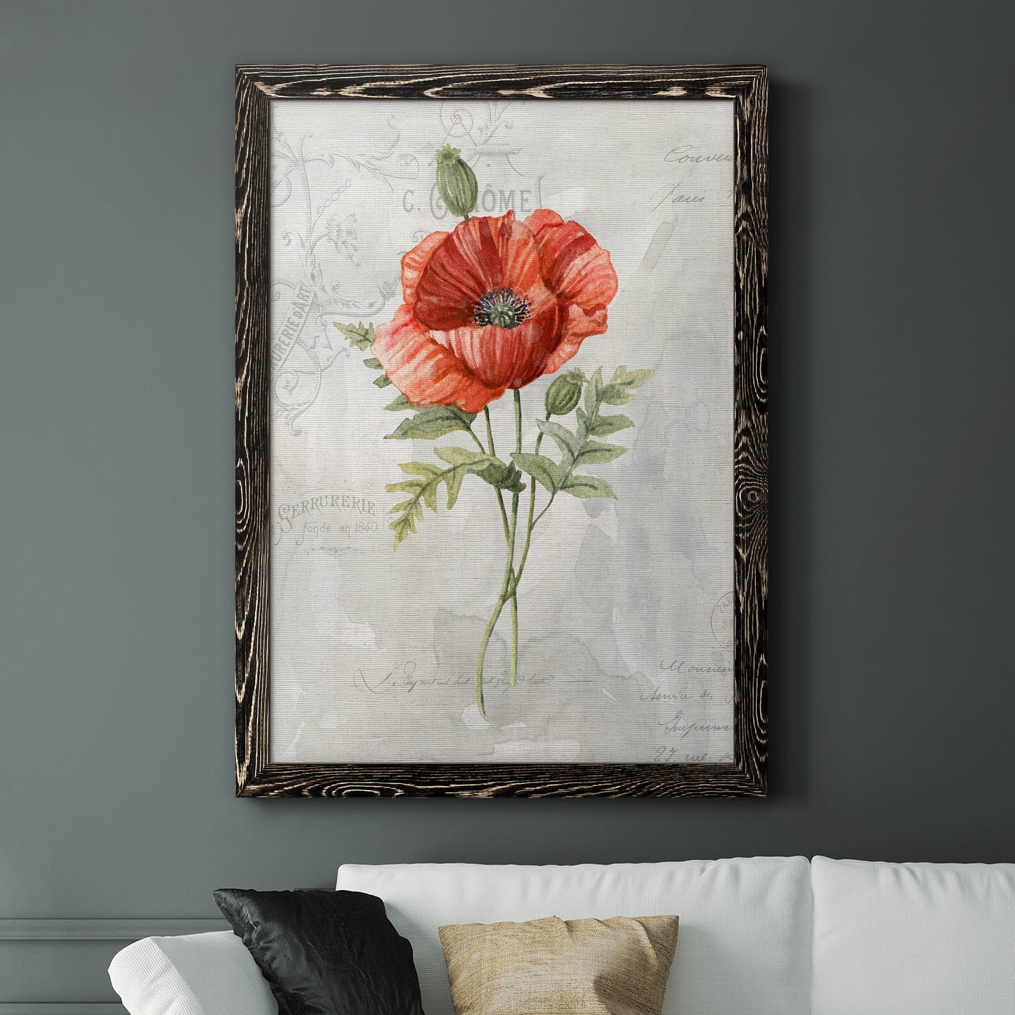 Linen Poppy - Barnwood Framed Canvas Print