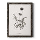Sketchbook Imperial - Barnwood Framed Canvas Print