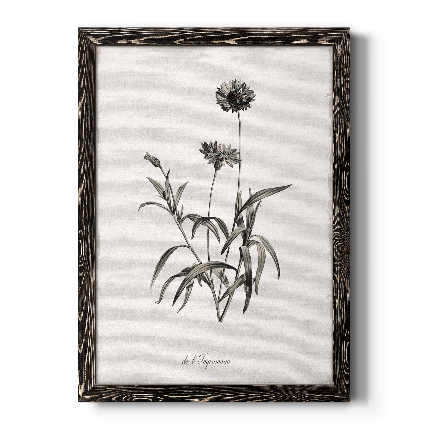 Sketchbook Imperial - Barnwood Framed Canvas Print