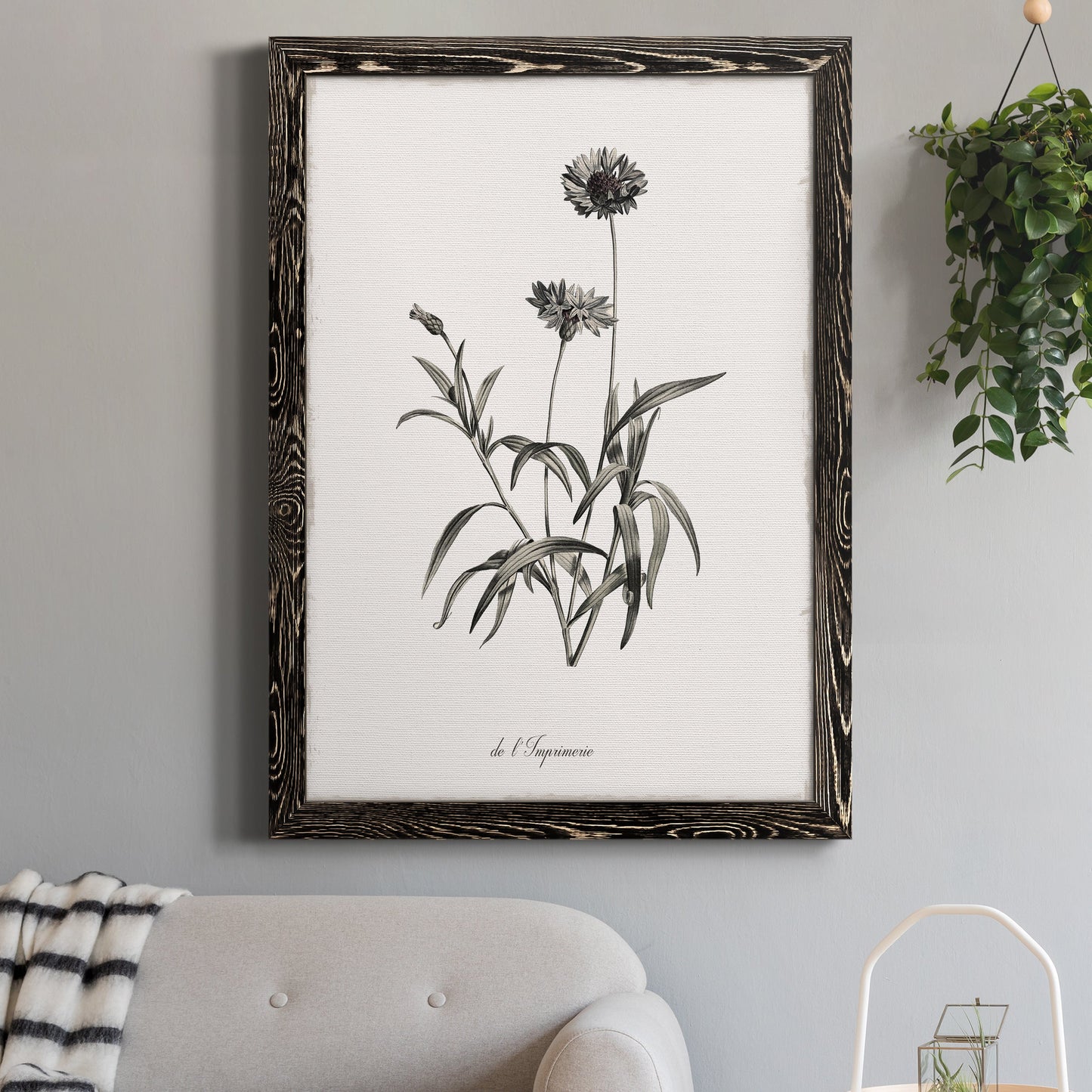 Sketchbook Imperial - Barnwood Framed Canvas Print