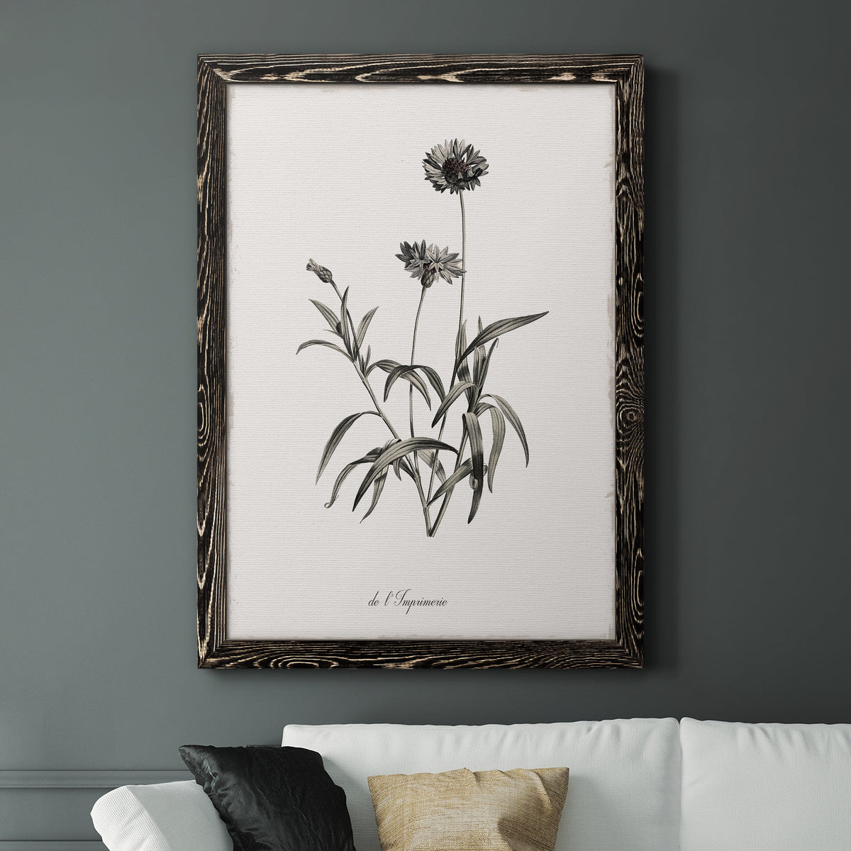 Sketchbook Imperial - Barnwood Framed Canvas Print
