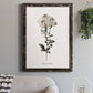 Sketchbook Leadwort - Barnwood Framed Canvas Print