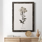 Sketchbook Leadwort - Barnwood Framed Canvas Print