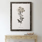 Sketchbook Leadwort - Barnwood Framed Canvas Print