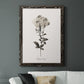 Sketchbook Leadwort - Barnwood Framed Canvas Print