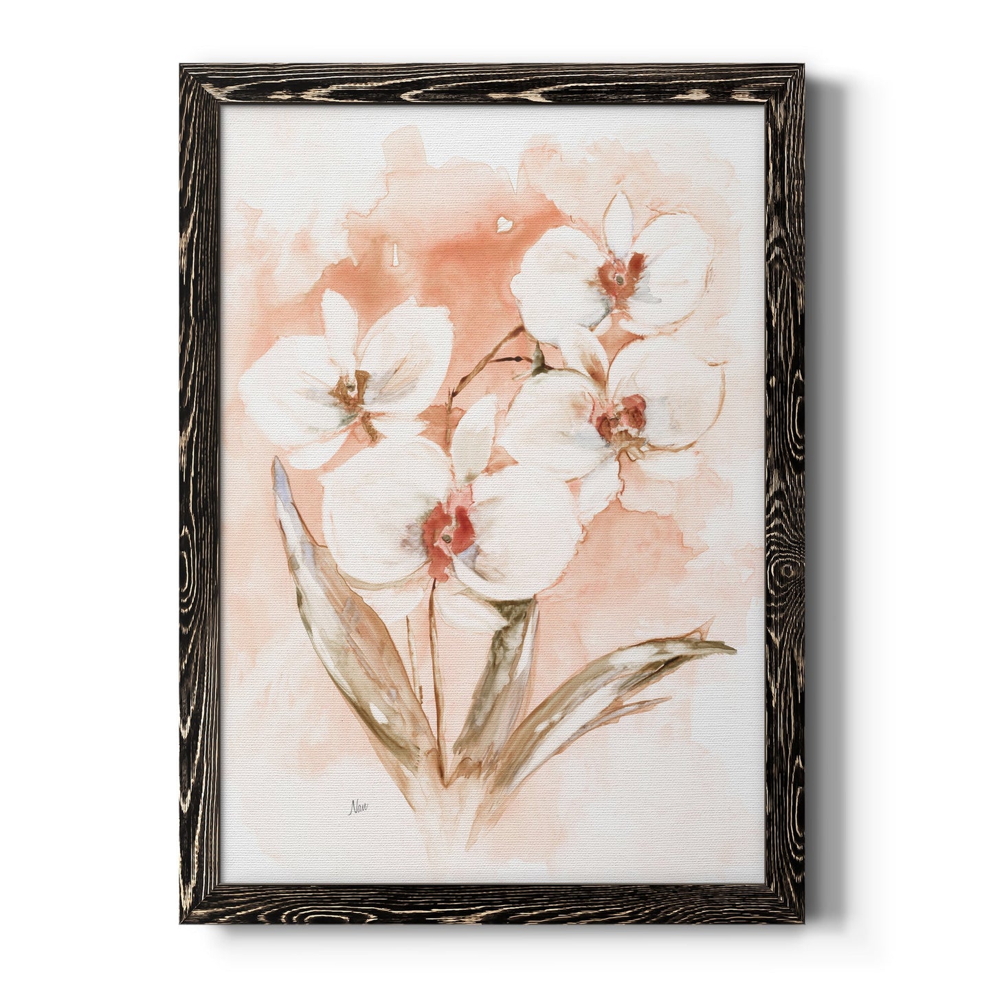White and Coral Orchid I - Barnwood Framed Canvas Print