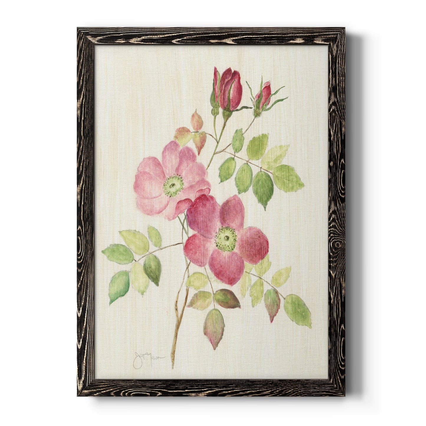 Dusty Rose I - Barnwood Framed Canvas Print