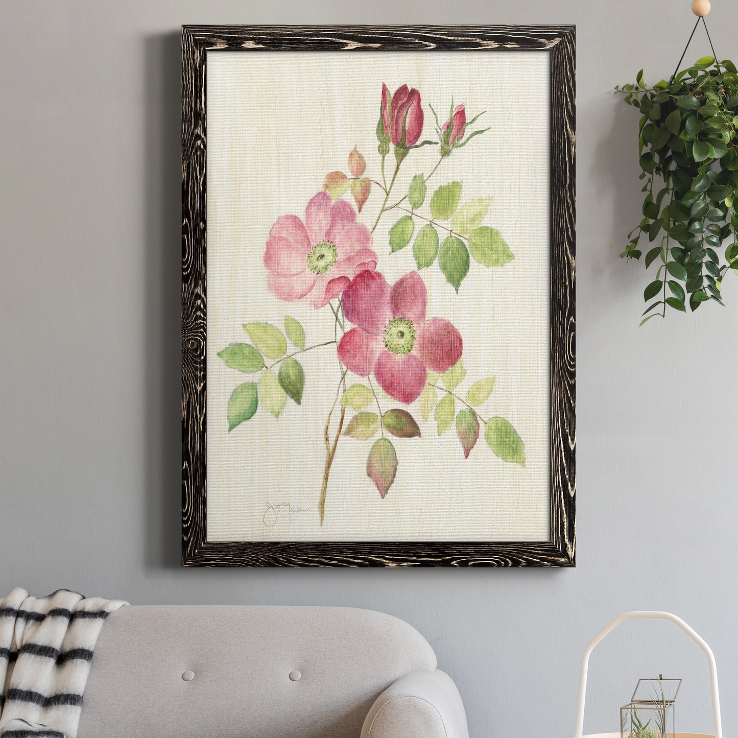 Dusty Rose I - Barnwood Framed Canvas Print