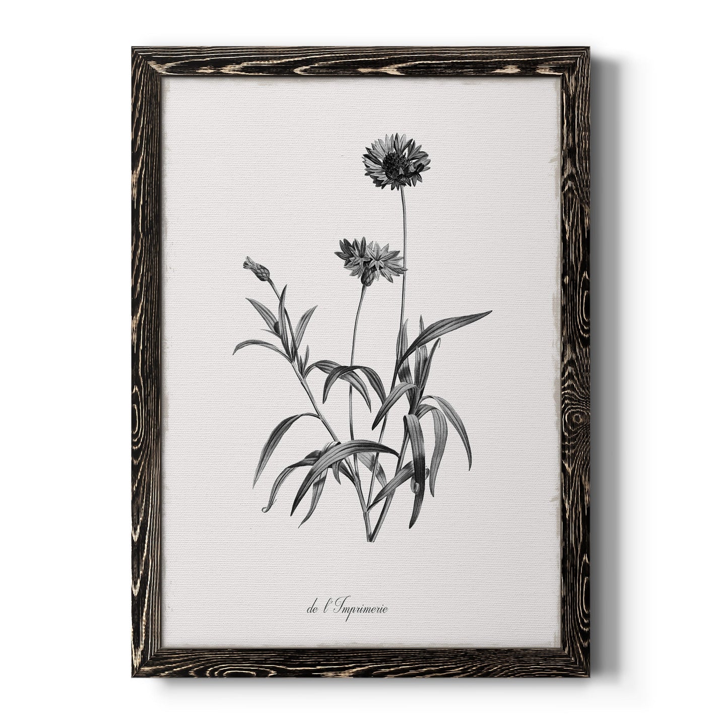 Simply Imperial - Barnwood Framed Canvas Print