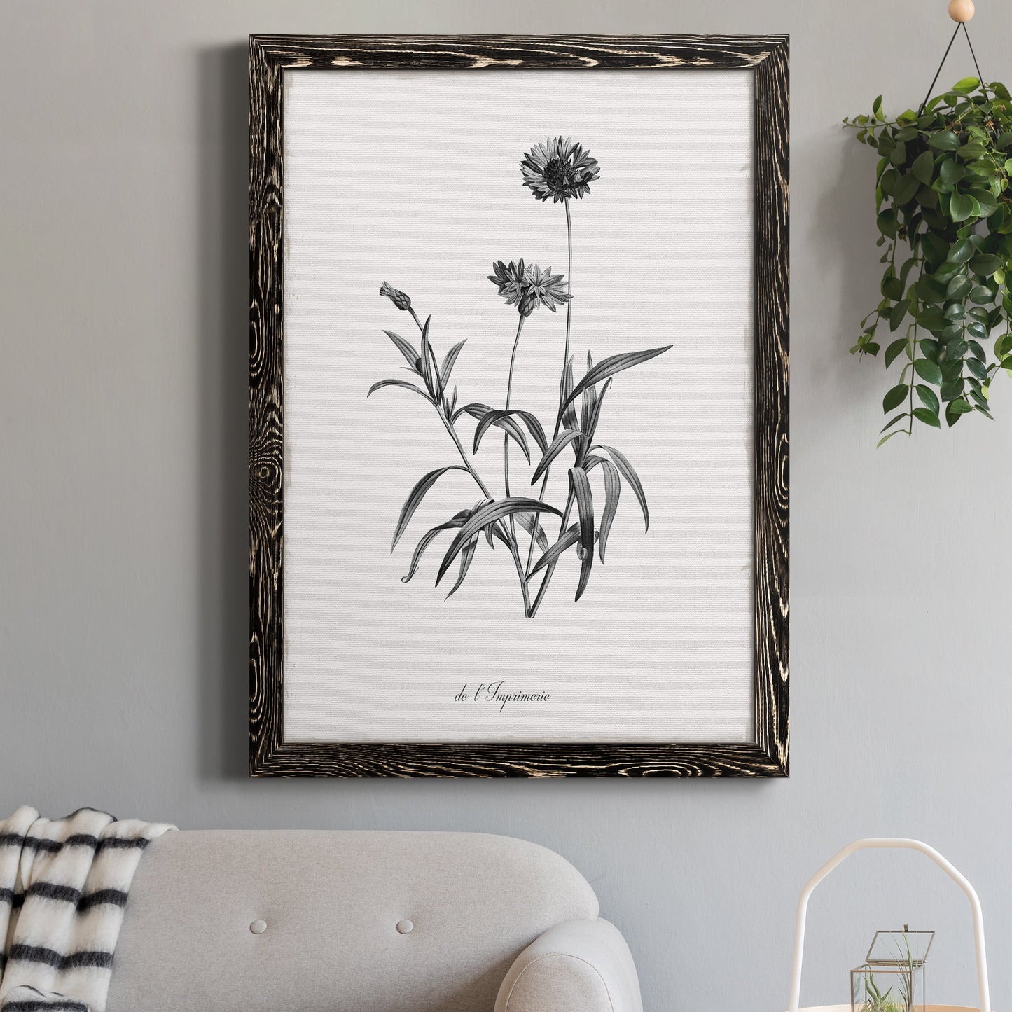 Simply Imperial - Barnwood Framed Canvas Print