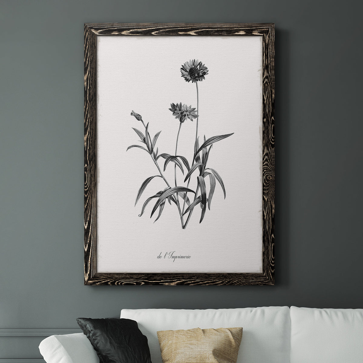 Simply Imperial - Barnwood Framed Canvas Print