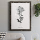 Simply Cape Leadwort - Barnwood Framed Canvas Print