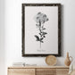 Simply Cape Leadwort - Barnwood Framed Canvas Print