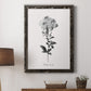 Simply Cape Leadwort - Barnwood Framed Canvas Print