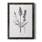 Simply Lavender - Barnwood Framed Canvas Print