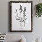 Simply Lavender - Barnwood Framed Canvas Print