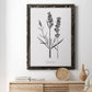 Simply Lavender - Barnwood Framed Canvas Print
