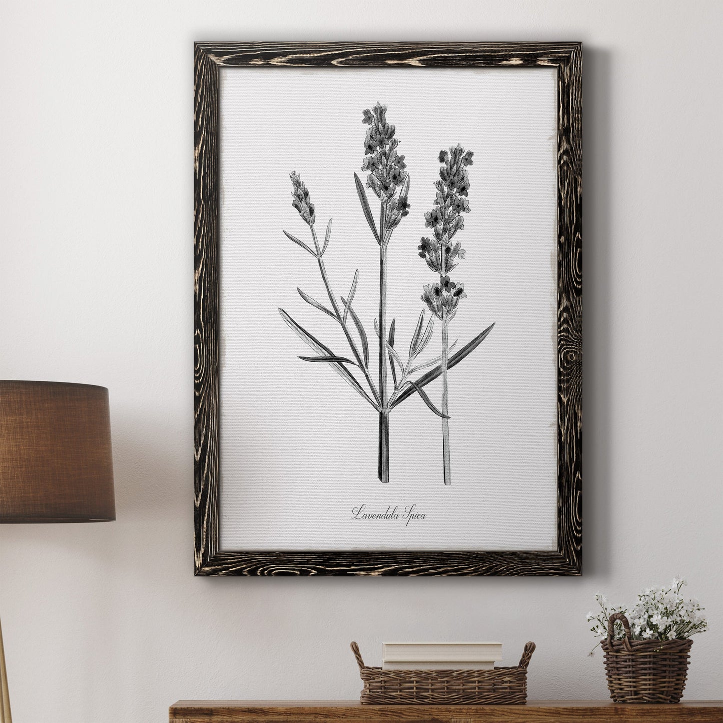 Simply Lavender - Barnwood Framed Canvas Print