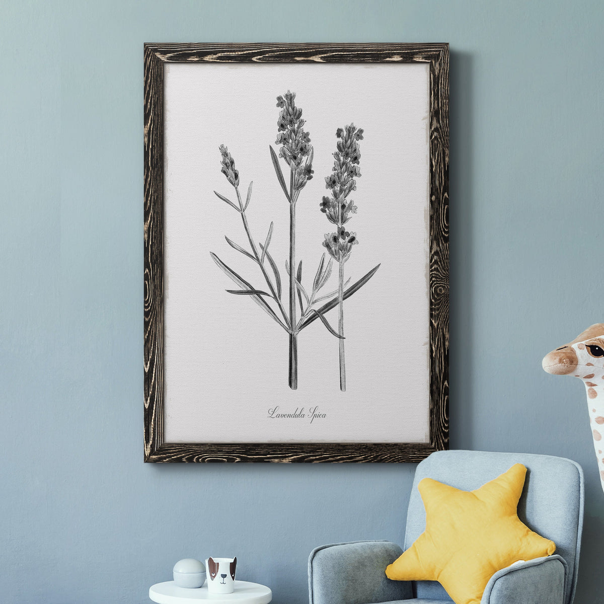 Simply Lavender - Barnwood Framed Canvas Print