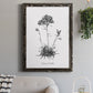 Simply Caladrinia - Barnwood Framed Canvas Print