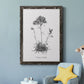 Simply Caladrinia - Barnwood Framed Canvas Print