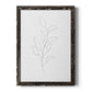 Botanical Gesture VI - Barnwood Framed Canvas Print
