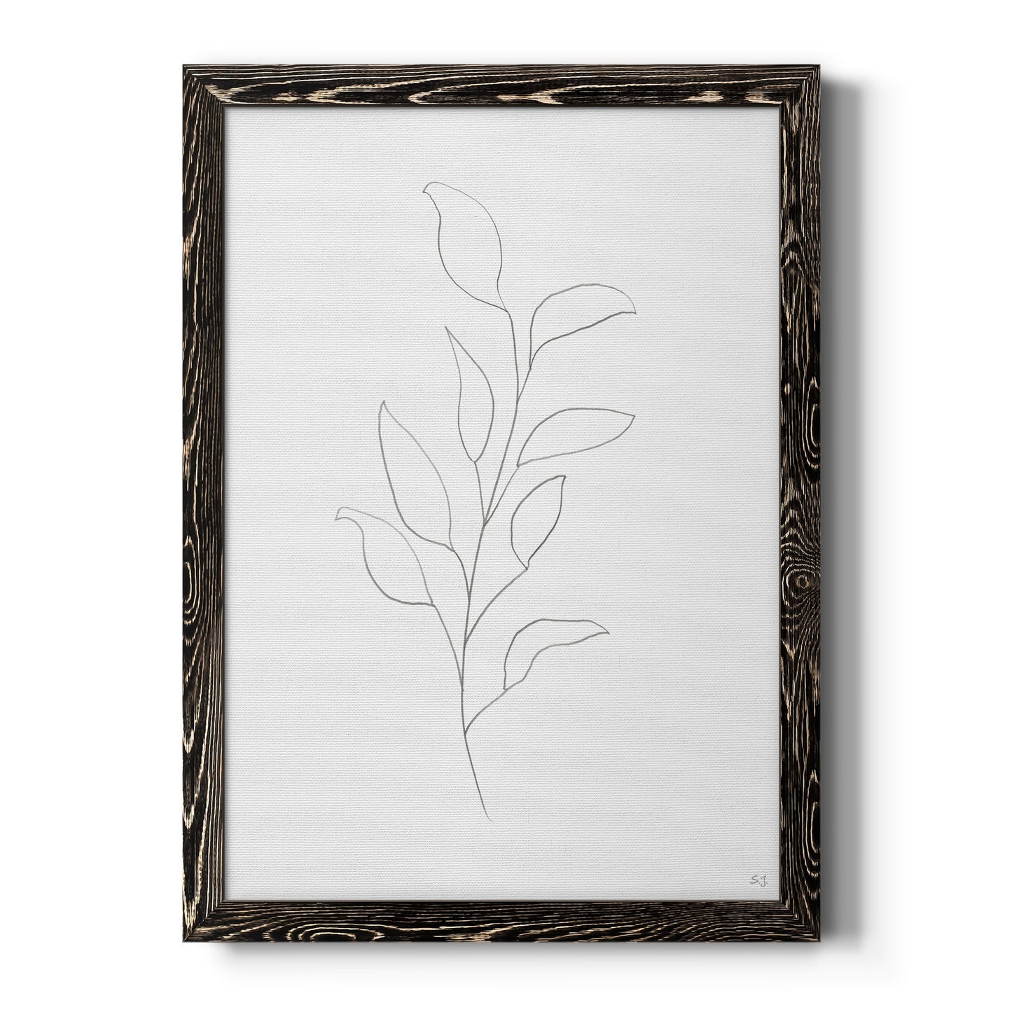 Botanical Gesture VI - Barnwood Framed Canvas Print