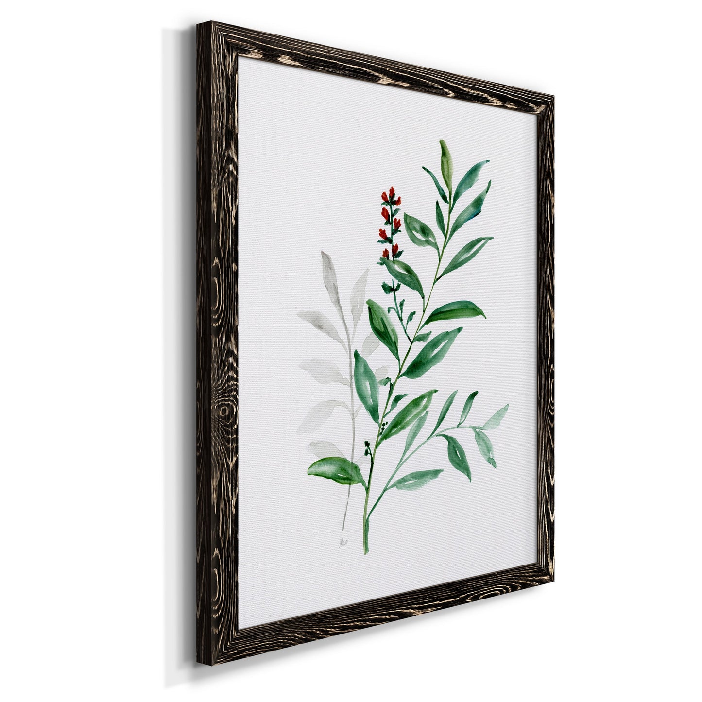 Freshly Picked III - Barnwood Framed Canvas Print
