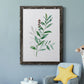 Freshly Picked III - Barnwood Framed Canvas Print
