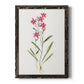 Delicate Pink II - Barnwood Framed Canvas Print