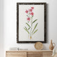 Delicate Pink II - Barnwood Framed Canvas Print