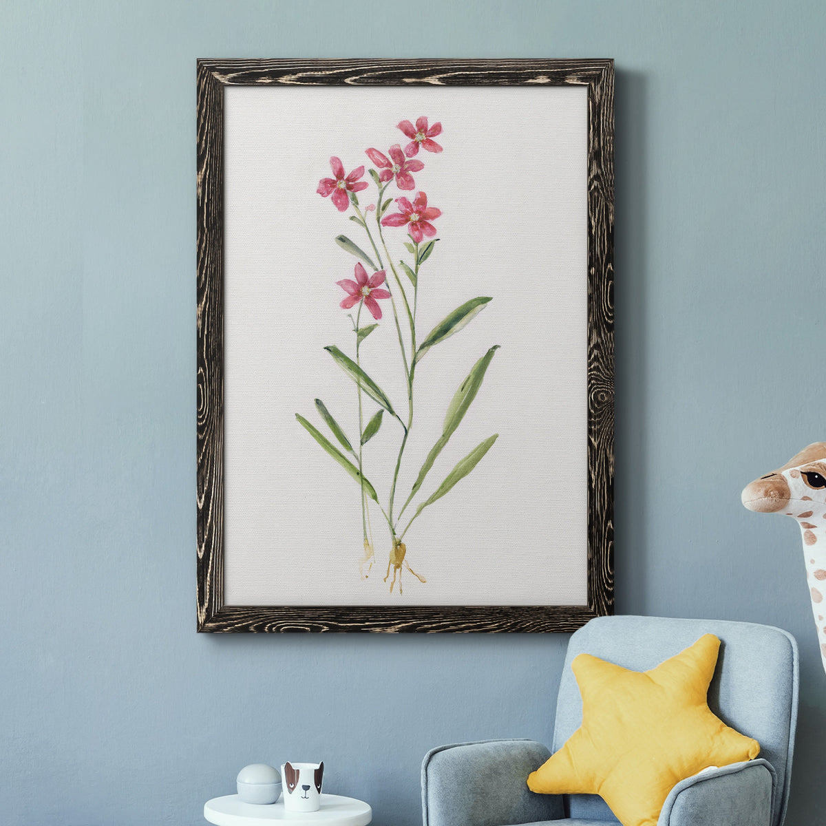 Delicate Pink II - Barnwood Framed Canvas Print