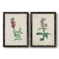 Set of two black barnwood framed canvas prints featuring two vintage botanical studies of flowering stems with detailed green leaves on aged cream paper.