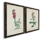 Angled view of a set of two black barnwood framed canvas prints featuring two vintage botanical studies of flowering stems with detailed green leaves on aged cream paper.