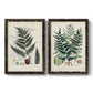 Set of two black barnwood framed canvas prints featuring two natural-history fern plates featuring vintage fern specimens with botanical details.