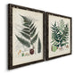 Angled view of a set of two black barnwood framed canvas prints featuring two natural-history fern plates featuring vintage fern specimens with botanical details.