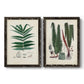 Set of two black barnwood framed canvas prints featuring two natural-history fern plates featuring vintage fern specimens with botanical details.