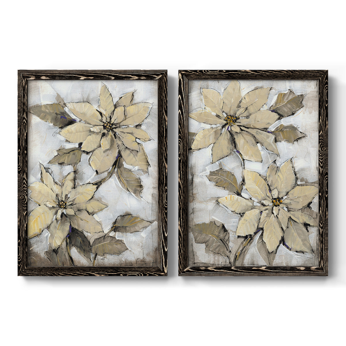 Poinsettia Study I - Barnwood Framed Canvas Set