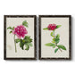 Set of two black barnwood framed canvas prints featuring two vintage botanical plate illustrations featuring pink flowering plant specimens.