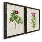 Angled view of a set of two black barnwood framed canvas prints featuring two vintage botanical plate illustrations featuring pink flowering plant specimens.