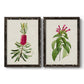 Set of two black barnwood framed canvas prints featuring two vintage botanical plate illustrations featuring pink flowering plant specimens.
