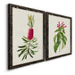 Angled view of a set of two black barnwood framed canvas prints featuring two vintage botanical plate illustrations featuring pink flowering plant specimens.