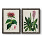 Set of two black barnwood framed canvas prints featuring two antique botanical plate illustrations featuring colorful flowering plant specimens.