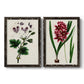 Set of two black barnwood framed canvas prints featuring two antique botanical plate illustrations featuring colorful flowering plant specimens.