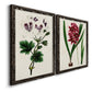 Angled view of a set of two black barnwood framed canvas prints featuring two antique botanical plate illustrations featuring colorful flowering plant specimens.