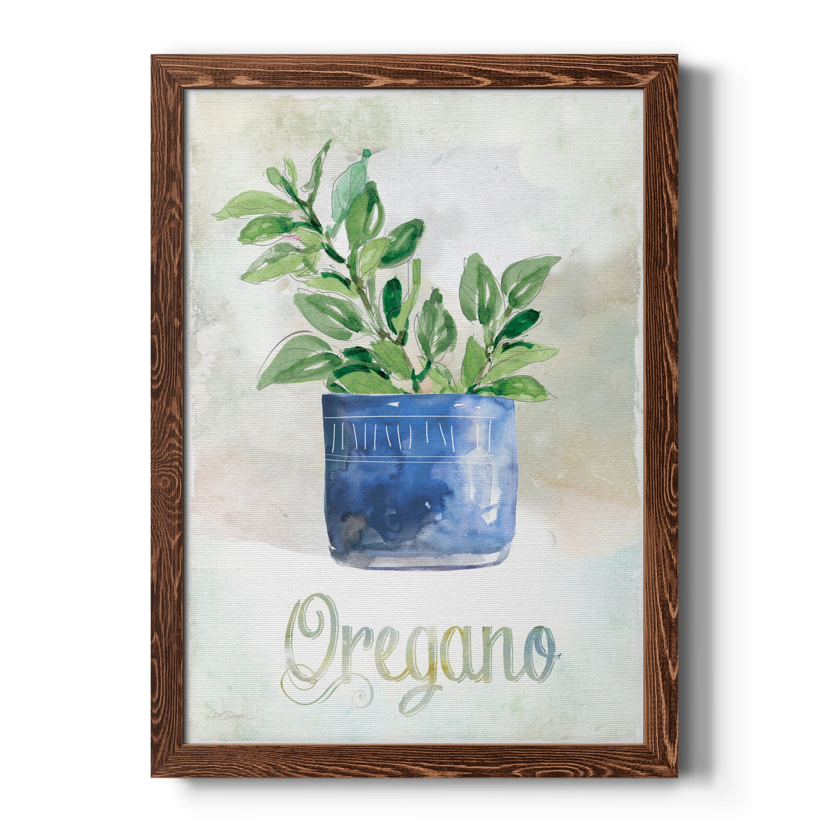 Potted Oregano - Barnwood Framed Canvas Print