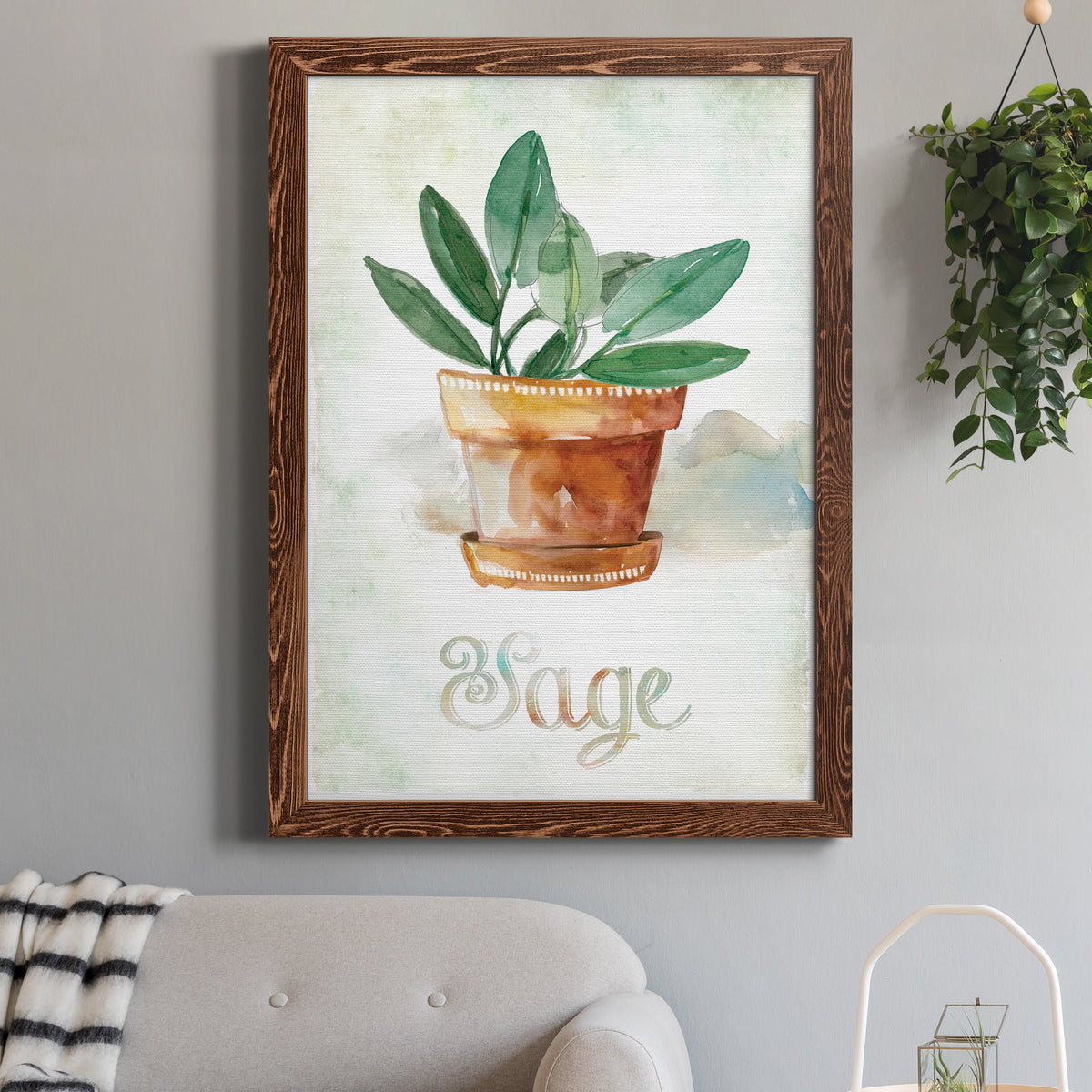 Potted Sage - Barnwood Framed Canvas Print