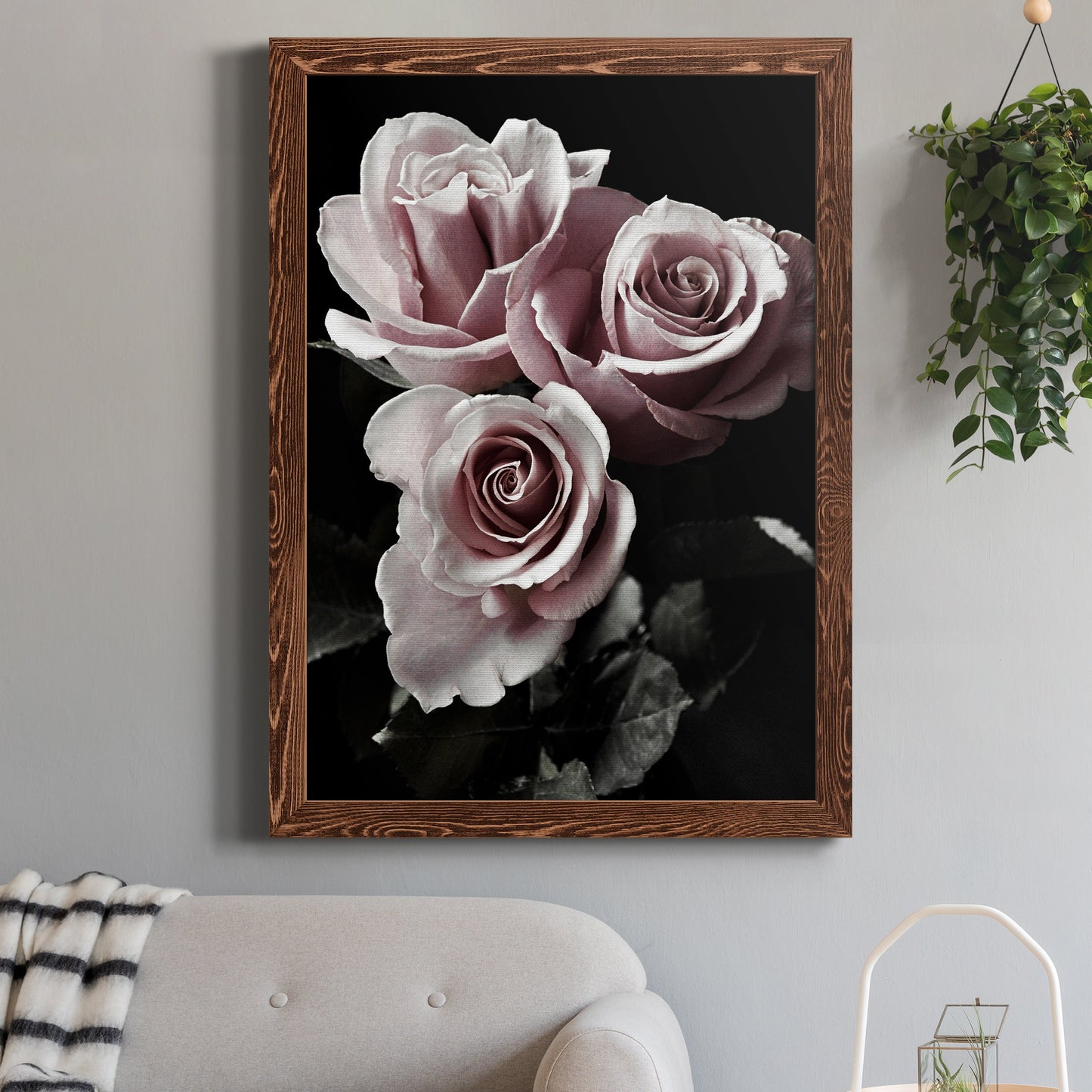 Rose Noir I - Barnwood Framed Canvas Print